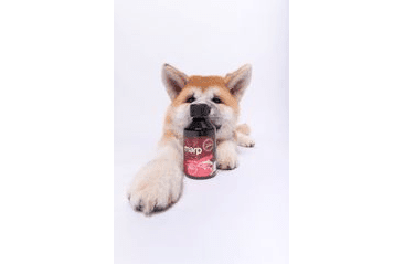 MARP HOLISTIC - LOSOSOVÝ OLEJ 250ML