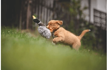 HRAČKA MULTIPET MIGRATORS DIVÁ KAČICA PLYŠ 38 CM