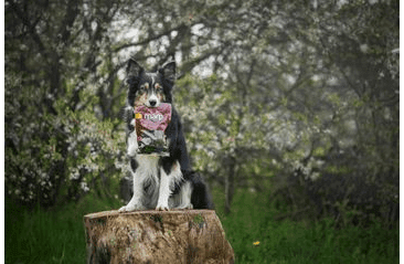 MARP TREATS BUFFALO LIVER - SUŠENÁ PEČEŇ KÚSKY 200G