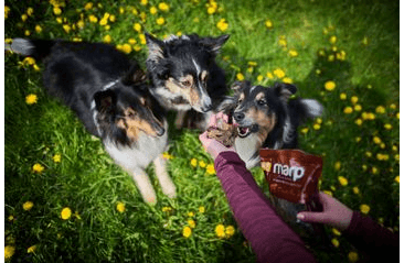 MARP TREATS BUFFALO LIVER - SUŠENÁ PEČEŇ KÚSKY 200G