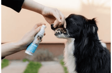 AMINELA CLEAN DENTÁLNY SPREJ PRE PSY A MAČKY 100ML