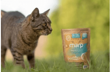 MARP HOLISTIC FRESH FISH - MAŠKRTY PRE MAČKY 150G
