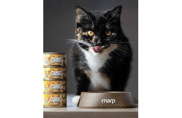 MARP HOLISTIC PLUS KONZERVA PRE MAČKY – KURACIE PATÉ S KREVETAMI 70G