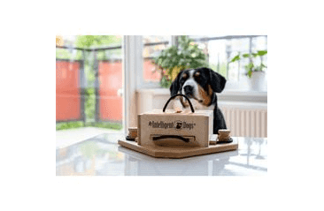 HLAVOLAM PRE POKROČILÝCH PSOV MY INTELLIGENT DOGS TROUBLE/OBTIAŽNOSŤ 1-4