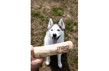 MARP HOLISTIC - KÁVOVÉ DŘEVO XL - S PRASKLINOU - SLEVA 50 %
