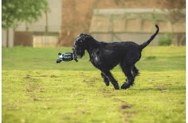 QUAPAS! HRAČKA PRE PSOV RUGBY LOPTA L 22X11CM