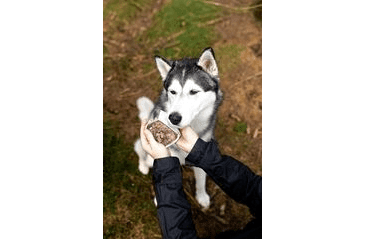 MARP LAMB  VANIČKA PRE PSOV S JAHŇACÍM 100G