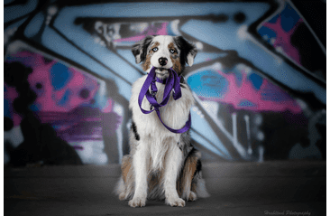 AMINELA OBOJOK 25MM/40-65CM FIALOVÝ