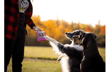 MARP HOLISTIC PLUS – FUNKČNÉ MAŠKRTY NA PODPORU IMUNITY PRE PSOV 80G