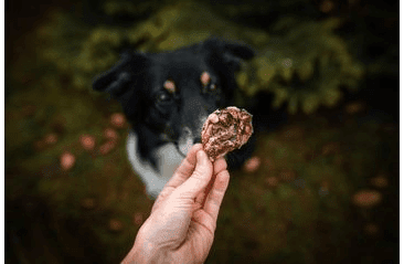 DOXNEO HOVÄDZIE PĽÚCA  500G