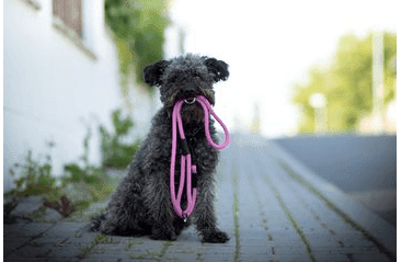 AMINELA FERRATA LANOVÉ VODÍTKO - RUŽOVÁ