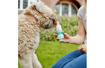 VET'S BEST PENA NA ZUBY PRE PSOV 150ML