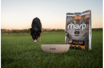 MARP VARIETY GRASS FIELD - JAHŇACIE 2KG