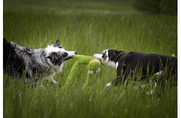 HRAČKA MULTIPET SWINGIN SLEVINS ŽABA PLYŠ 67 CM