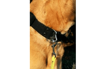 BAFPET STOPOVACIE VODÍTKO POLYTRACE - ZELENÁ