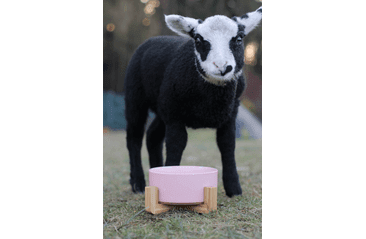 AMINELA KERAMICKÁ MISKA V DREVENOM STOJANE - RUŽOVÁ 750ML