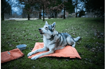 AMINELA PODLOŽKA S OBALOM 80X60 ORANŽOVÁ