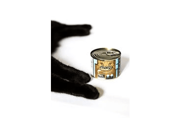 MARP VARIETY TROUT CAT KONZERVA PRE MAČKY SO PSTRUHOM 200G