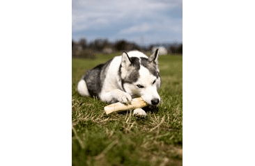 MARP HOLISTIC - KÁVOVÉ DŘEVO L (160 - 200G)