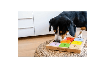 PSIE HLAVOLAM DOG SUDOKU EXPERT RAINBOW OD MY INTELLIGENT DOGS /OBTIAŽNOSŤ 3