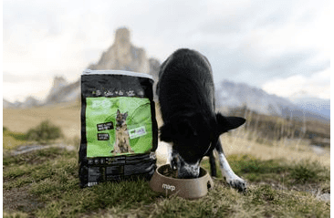 DOXNEO LAMB - JAHŇACIE BEZ OBILNÍN 2KG