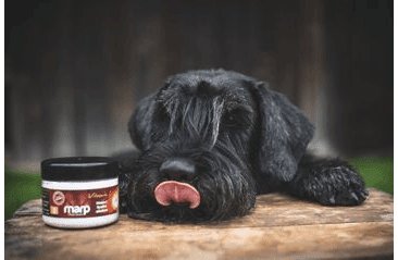 MARP HOLISTIC - VITAMÍN C 100G