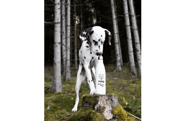 MARP KOVOVÁ TERMO FĽAŠA 750 ML