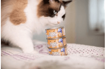 MARP HOLISTIC PLUS KONZERVA PRE MAČKY – TUNIAKOVÉ PATÉ SO SARDINKAMI 70G