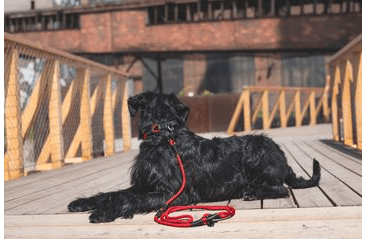 AMINELA FERRATA LANOVÉ PREPÍNACIE VODÍTKO - ČERVENÁ