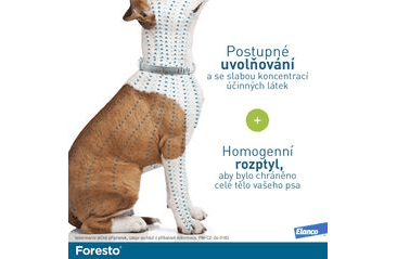 FORESTO OBOJOK PRE PSOV NAD 8KG 1KS - 70 CM