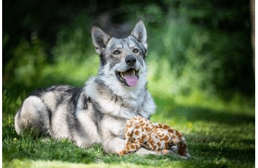 HRAČKA MULTIPET SWINGIN SAFARI ŽIRAFA PLYŠ 48 CM