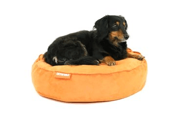 OKRÚHLY PELECH AMINELA FULL COMFORT 60/15CM ORANŽOVÁ