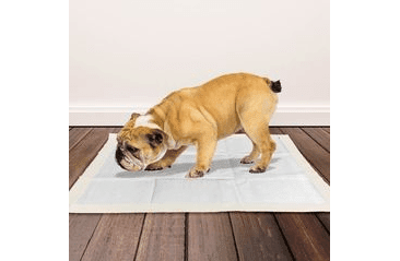 OUT! HYGIENICKÉ PODLOŽKY 100KS