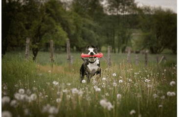 MULTIPET HRAČKA LOOFA ORIGINAL XL LATEX 30,5 CM