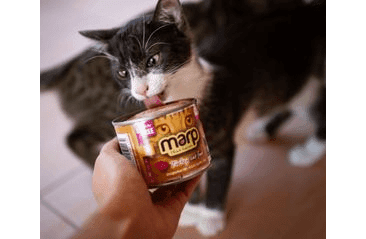 MARP TURKEY KONZERVA PRE MAČKY S MORKOU 200G