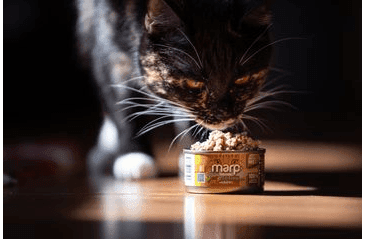 MARP HOLISTIC PLUS KONZERVA PRE MAČKY – KURACIE PATÉ S HOVÄDZÍMI KÚSKAMI 70G
