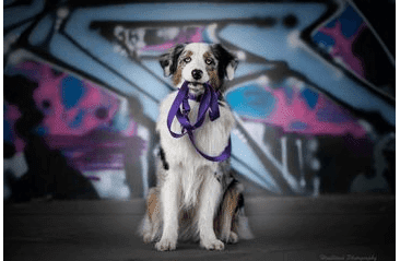 AMINELA POPRUHOVÉ PREPÍNACIE VODÍTKO 15MM/220CM FIALOVÉ