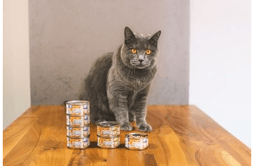 MARP HOLISTIC PLUS KONZERVA PRE MAČKY – TUNIAKOVÉ PATÉ SO SARDINKAMI 70G 2 + 1 KS ZADARMO