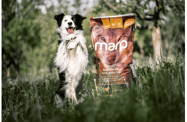 MARP HOLISTIC LAMB - JAHŇACIE BEZ OBILNÍN 12KG