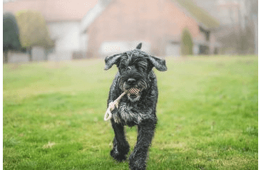 FARM COMPANY KAUČUKOVÝ BALÓN NA KONOPNOM LANE 24CM