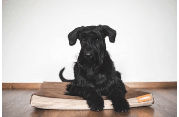 MATRACE AMINELA - 80X60X10CM HALF AND HALF HNEDÁ/BÉŽOVÁ