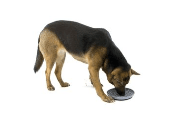 AMARAGO LÍZACIA PODLOŽKA OKRÚHLA MISKA TMAVO ŠEDÁ