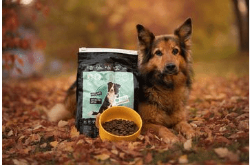 DOXNEO TURKEY - MORČACIE BEZ OBILNÍN 2KG