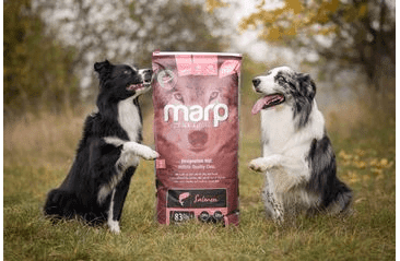MARP HOLISTIC SALMON - LOSOSOVEJ BEZ OBILNÍN 12KG