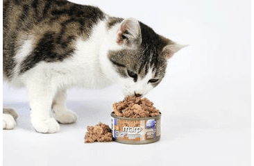 MARP HOLISTIC PLUS KONZERVA PRE MAČKY – TUNIAKOVÉ PATÉ S KREVETAMI 24X70G