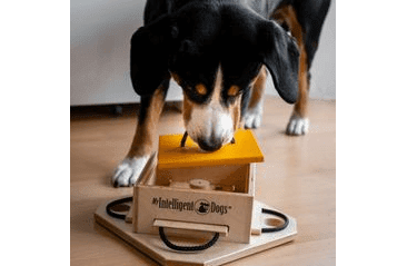 HLAVOLAM PRE POKROČILÝCH PSOV MY INTELLIGENT DOGS TROUBLE/OBTIAŽNOSŤ 1-4