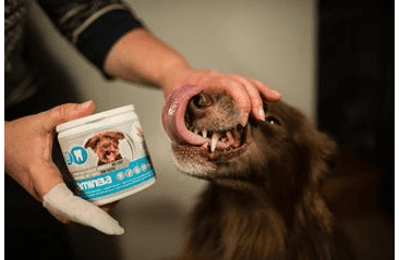 AMINELA OBRÚSKY NA ZUBY 50KS