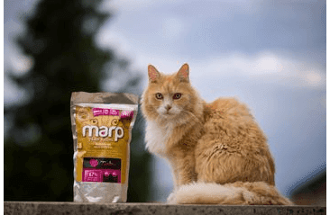 MARP HOLISTIC TURKEY CAT - MORČACIE BEZ OBILNÍN PRE MAČKY 0,5KG