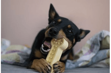 AMARAGO ECO FRIENDLY HRAČKA PRE PSOV KOSŤ MALÁ ŽLTÁ, 13CM/70G