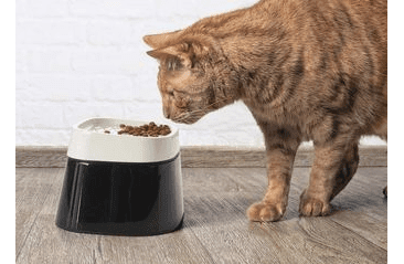 SAVIC ERGONOMICKÁ MISKA ERGO CUBE NA JÍDLO PRO KOČKY 22X22X16 CM